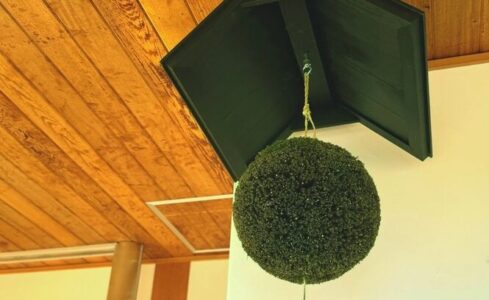 なぜ人は、苦手だと思い込むのか？