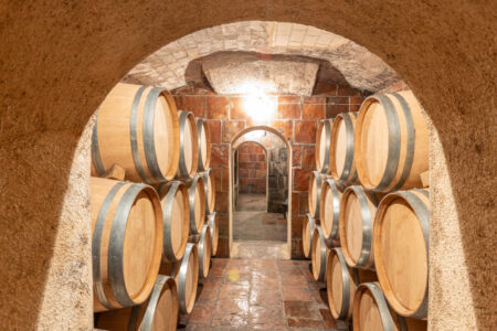 「いっぱいの味が好き」から学んだ、言葉のむずかしさ