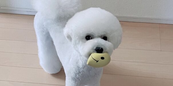 「なんで何回言っても分からないの？」とイライラした日に読んでほしい話