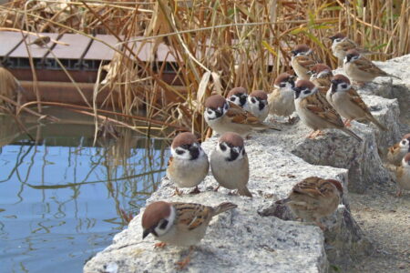 なんでか分からないけど、人は『ありがとうが多い場所』に集まる