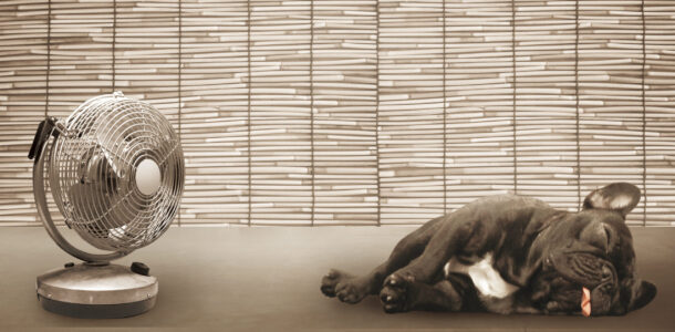 なんでとり二では、真夏でも熱いおしぼりなのか