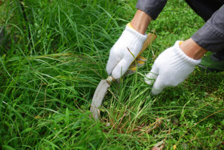 獣医さんが『もう命懸け』と言ったこと。