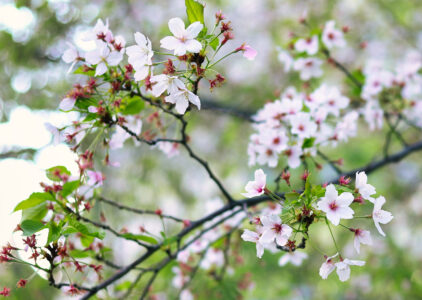 「仕事ができる人」より先に見られていること