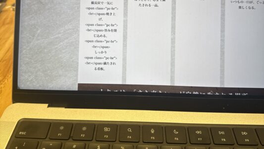 チャッピーとケンカして気がついたこと