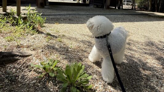 町内のトラブルメーカー、実は私がお世話になった人でした。