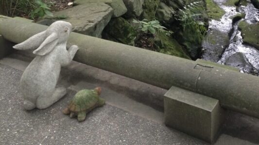 うさぎとカメには、続きがあった。